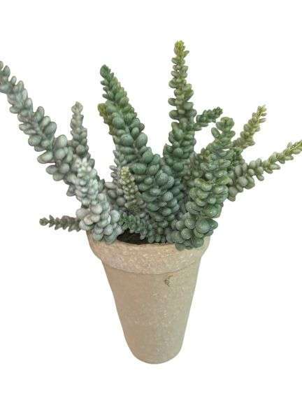 Faux Sedum Botanicals in Vases (12)
