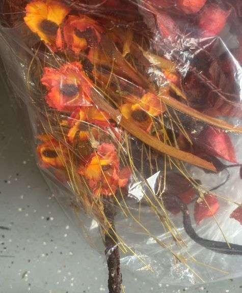 Fall Decor