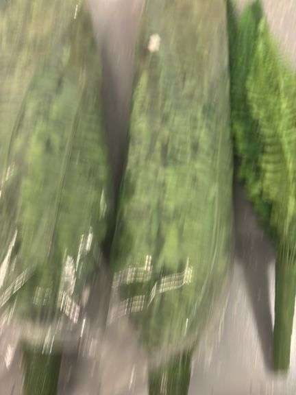 Faux Ferns