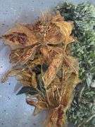 Faux Botanicals