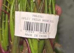 Philodendron Faux Plants