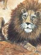 Framed Animal Original Artwork