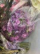 Silk Florals