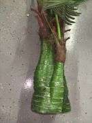 Faux Palm Tree