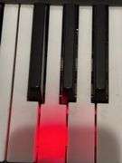 Casio LK-165 61 Lighted-Key Educational Portable Keyboard