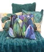 Decorative Pillows and Throw