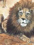 Framed Animal Original Artwork