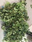 Faux Greenery