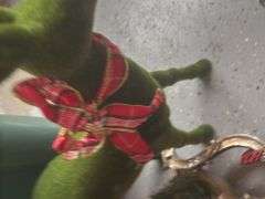 Variety of Holiday Decor