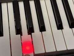 Casio LK-165 61 Lighted-Key Educational Portable Keyboard