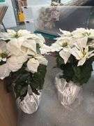 Variety of Silk Florals