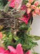 Silk Florals