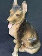Who Doesn’t Love Dogs
