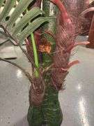 Faux Palm Tree