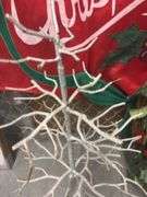 Holiday Decor