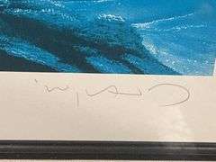 Wyland Signed Limited Edition Framed Print