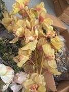 Faux Botanicals