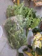 Faux Botanicals