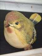 Bird Decor