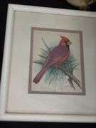 Bird Decor