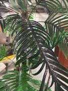 Faux Palm Tree