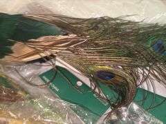 Bird Decor/Crafts