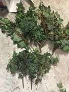 Faux Greenery
