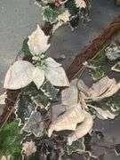 Holiday Decor