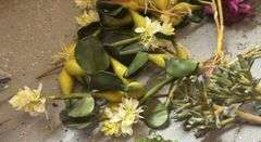 Faux Florals/Crafts