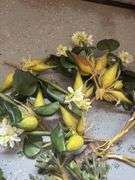 Faux Florals/Crafts