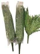 Faux Ferns