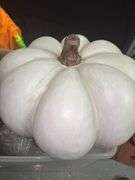 Fall Decor