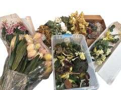Faux Botanicals