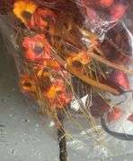 Fall Decor