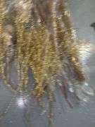 Golden Seashell Decor/Crafts