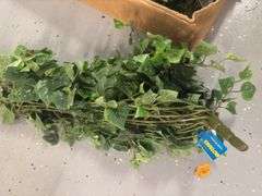 Faux Greenery