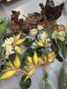 Faux Botanicals