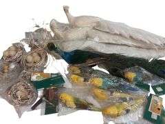 Bird Decor/Crafts