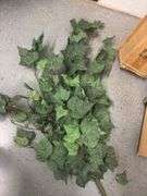 Frosted Giant Ivy Bush (15)