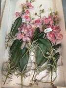 Faux Botanicals