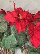 Silk Poinsettia Florals