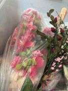 Silk Florals