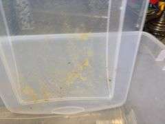 Storage Bins