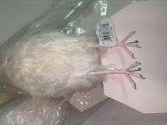 Bird Decor/Crafts