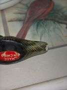 Bird Decor