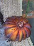 Fall Decor
