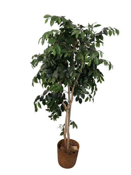 6’ Artificial Ficus