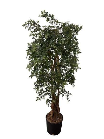 Artificial 5 1/2’ Ming Aralia Tree
