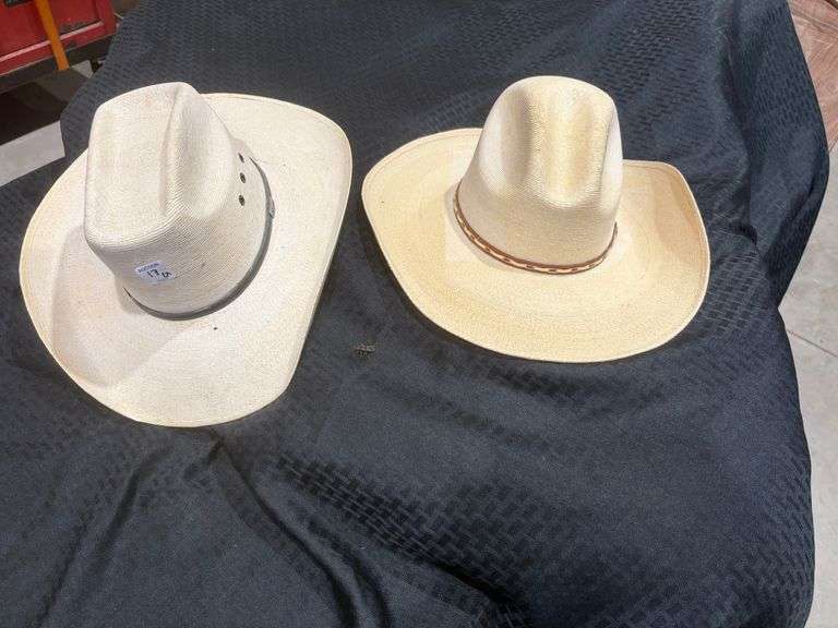 2 palm leaf cowboy hats