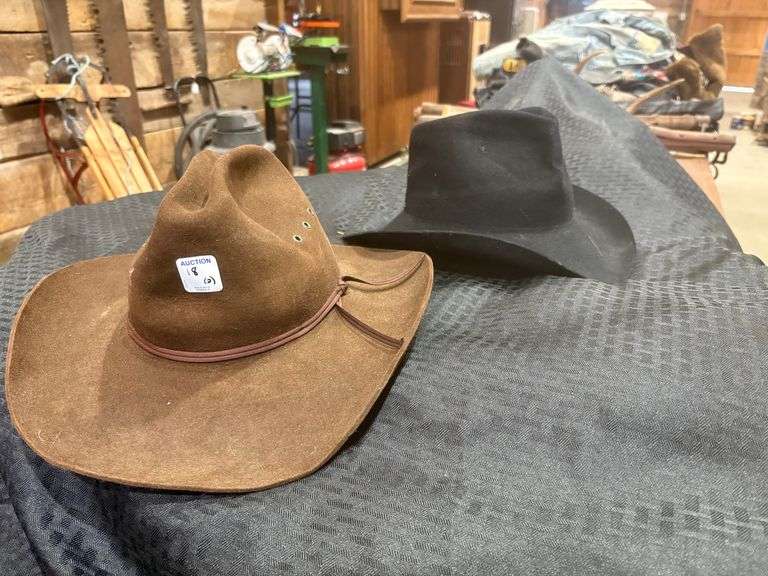 2 felt cowboy hats